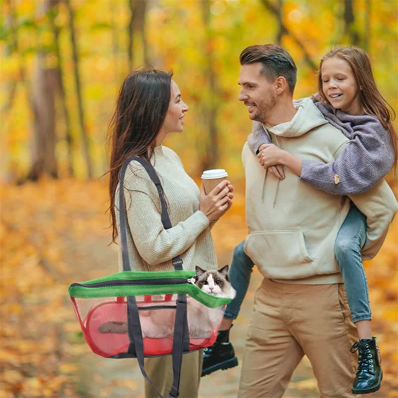 Grey And Red Lightweight Breathable Mesh Pet Carrier Handbag - Portable Travel Tote for Small Dogs & Cats up to 8kg