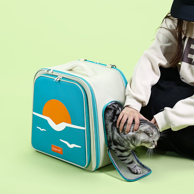 Expandable Pet Carrier Backpack for Cats & Small Dogs - Breathable Mesh, Multiple Entrances(yellow)